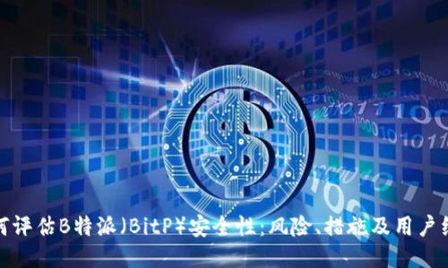 如何评估B特派（BitP）安全性：风险、措施及用户经验