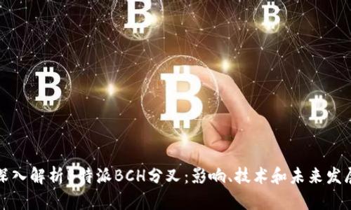 深入解析B特派BCH分叉：影响、技术和未来发展