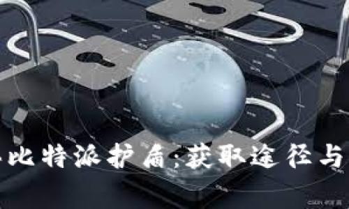 如何购买比特派护盾：获取途径与注意事项