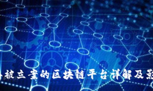 :
2023年被立案的区块链平台详解及影响分析