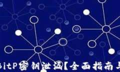 如何处理BitP密钥泄漏？全面指南与解决方案