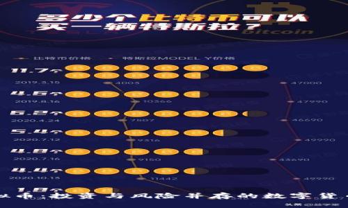 江苏炒虚拟币：投资与风险并存的数字货币市场详解