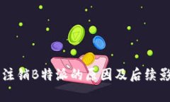 工商局注销B特派的原因及后续影响分析