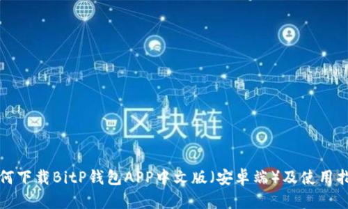 如何下载BitP钱包APP中文版（安卓端）及使用指南