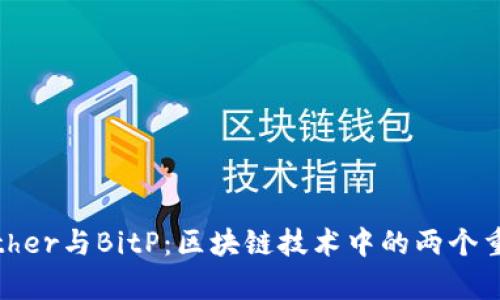 深入解析Bither与BitP：区块链技术中的两个重要钱包工具