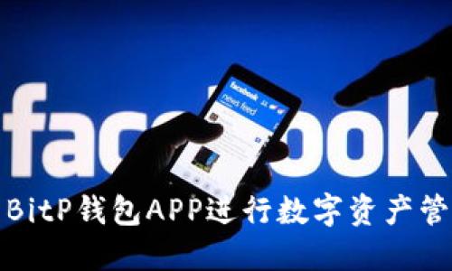如何使用BitP钱包APP进行数字资产管理与投资