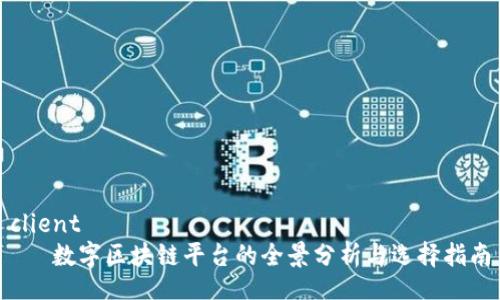 client
   数字区块链平台的全景分析与选择指南
