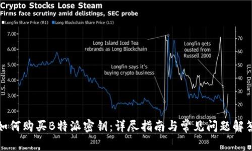 如何购买B特派密钥：详尽指南与常见问题解答