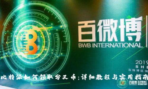 比特派如何领取分叉币：详细教程与实用指南