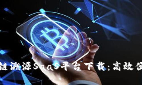 全面解析区块链溯源SaaS平台下载：高效便捷的解决方案