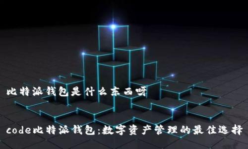 比特派钱包是什么东西呀


code比特派钱包：数字资产管理的最佳选择