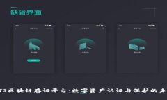 CTS区块链存证平台：数字资产认证与保