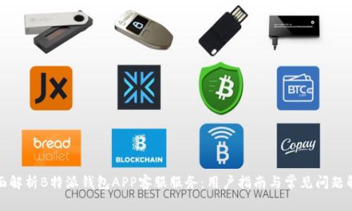 全面解析B特派钱包APP客服服务：用户指南与常见问题解答