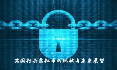 英国打击虚拟币的现状与未来展望