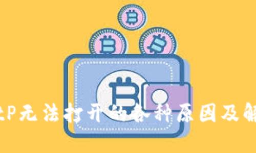 解决BitP无法打开的各种原因及解决方案