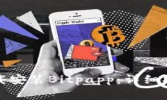 如何在苹果版上下载安装Bitpapp：详细指南与常见