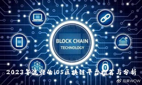 2023年流行的iOS区块链平台推荐与分析