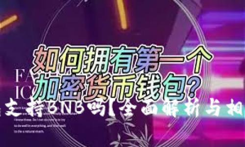 比特派钱包支持BNB吗？全面解析与相关问题解答