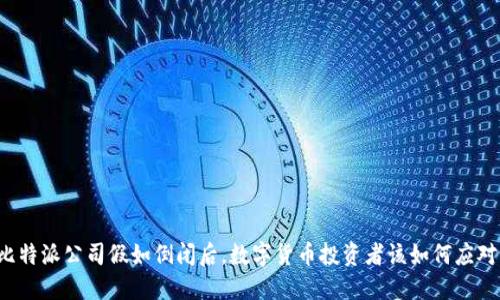 比特派公司假如倒闭后，数字货币投资者该如何应对？
