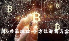 如何分辨B特派地址：全方位解析与实用指南