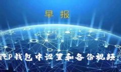 如何在BitP钱包中设置和备份视频：全面指南