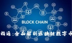 从入门到精通：全面解析区块链数字币交易平台