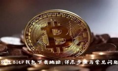 如何修改BitP钱包下载地址：详尽步骤与常见问题