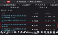 全面解析B特派开发者授权：权利、责任与最佳实