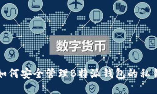 如何安全管理B特派钱包的私钥