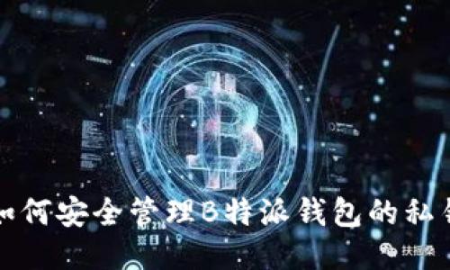 如何安全管理B特派钱包的私钥