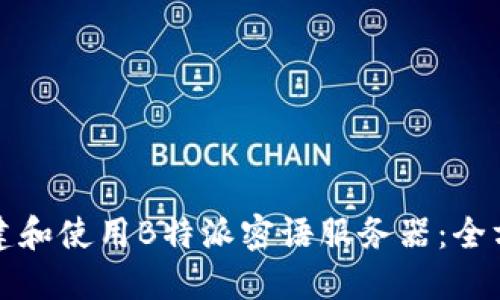 如何搭建和使用B特派密语服务器：全方位指南