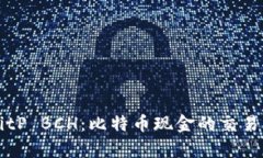 深入解析BitP BCH：比特币现金的交易与投资指南