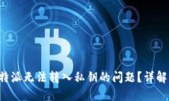 如何解决B特派无法转入私钥的问题？详解与解决