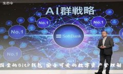  小熊图案的BitP钱包：安全可爱的数字资产管理解