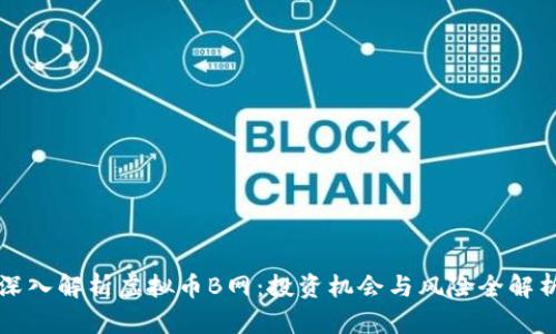 深入解析虚拟币B网：投资机会与风险全解析