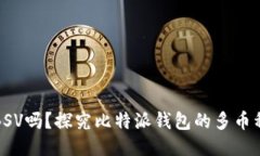比特派钱包支持BSV吗？探究比特派钱包的多币种