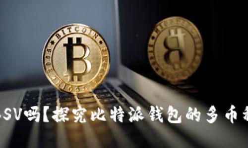 比特派钱包支持BSV吗？探究比特派钱包的多币种功能与使用体验