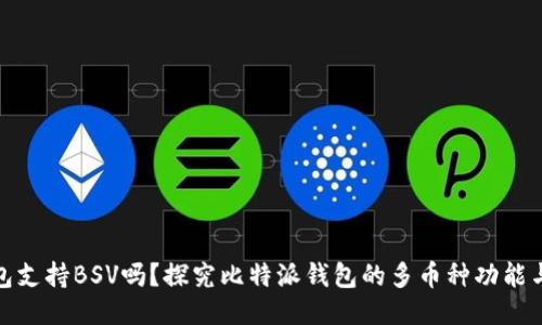 比特派钱包支持BSV吗？探究比特派钱包的多币种功能与使用体验