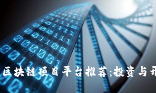 2023年最佳区块链项目平台推荐：投资与开发者的优选