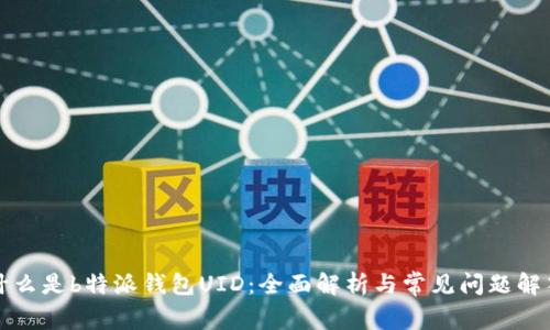 什么是b特派钱包UID：全面解析与常见问题解答