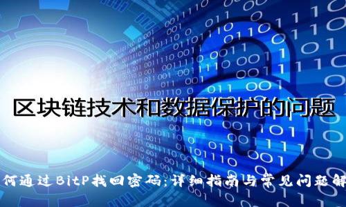 如何通过BitP找回密码：详细指南与常见问题解析