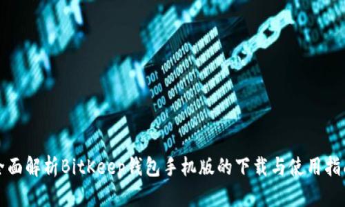 全面解析BitKeep钱包手机版的下载与使用指南