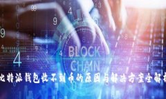 比特派钱包收不到币的原因与解决方案全解析