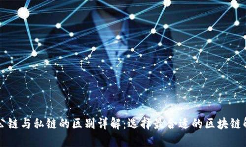 虚拟币公链与私链的区别详解：选择最合适的区块链解决方案