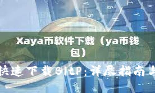 如何快速下载BitP：详尽指南与技巧
