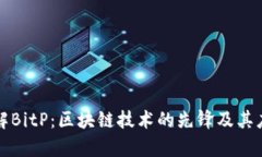 深入了解BitP：区块链技术的先锋及其应用前景