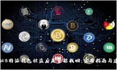 揭秘B特派钱包被盗后是否能找回：实用指南与建