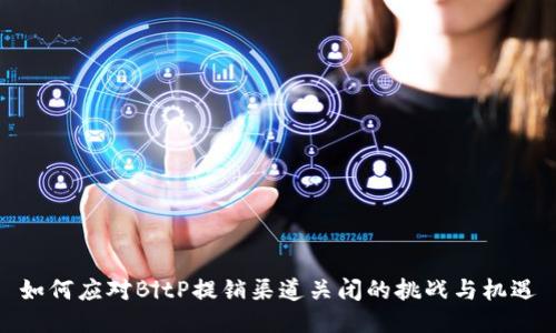 如何应对BitP提销渠道关闭的挑战与机遇