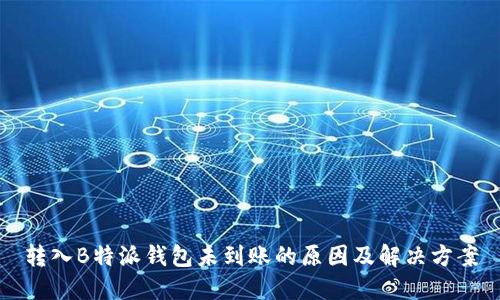 转入B特派钱包未到账的原因及解决方案
