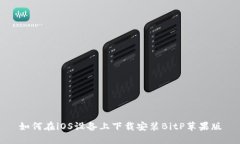 如何在iOS设备上下载安装BitP苹果版